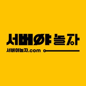 서버야놀자